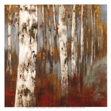 Along the Path II Poster by Allison Pearce