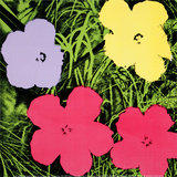 Flowers, c.1970 (1 purple, 1 yellow, 2 pink) Kunstdruck von Andy Warhol