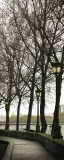 Along the Quai Prints by Karen White
