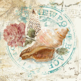 Seashells by the Seashore II Kunstdrucke von David Fischer