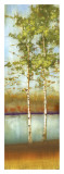 Swaying Along II Prints by Allison Pearce
