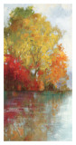 Forest Reflection II Posters par Asia Jensen