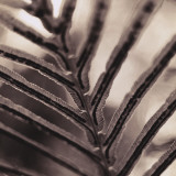 Abstraction Poster par Canales 