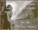 Surf - No Substitute Tin Sign