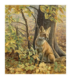 Eyes of Autumn Giclee Print by Kalon Baughan