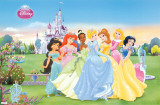 Disney Princesses Poster