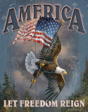 America - Let Freedom Reign Plechová cedule