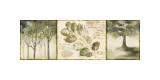 Hopes and Greens I Giclee Print by Lisa Audit