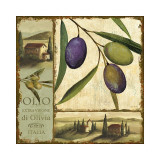 Tuscan Delight I Lámina giclée por Lisa Audit Tuscan Delight I Lámina giclée por Lisa Audit