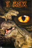 Dinosaur - T-Rex Prints Dinosaur - T-Rex Prints