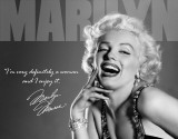 Marilyn - Definitely Blikskilt
