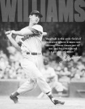 Ted Williams - Baseball Tin Sign
