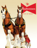 Bud Clydesdale Team Tin Sign