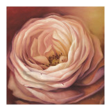 Rose Portrait Giclee Print by Lisa Audit Rose Portrait Giclee Print by Lisa Audit