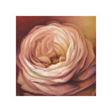 Rose Portrait Giclee Print by Lisa Audit
