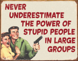 Ephemera - Stupid People Blechschild