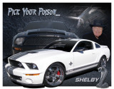Shelby Mustang - You Pick Tin Sign