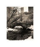 Christopher Bliss - Central Park Bridges IV Digitálně vytištěná reprodukce