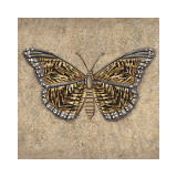 Tiger Butterfly Giclee Print by Jennifer Brice