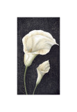 Amore Giclee-trykk av Jennette Brice Amore Giclee-trykk av Jennette Brice