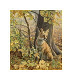 Eyes of Autumn Giclee Print by Kalon Baughan