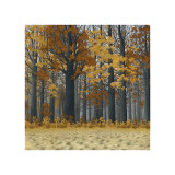 Autumn Wood Giclee Print by Arzt 