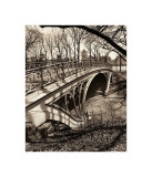 Central Park Bridges III reproduction procédé giclée par Christopher Bliss