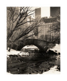 Central Park Bridges IV Giclee Print by Christopher Bliss
