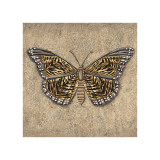 Tiger Butterfly Giclee-trykk av Jennifer Brice Tiger Butterfly Giclee-trykk av Jennifer Brice