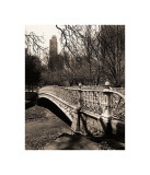 Central Park Bridges II Giclée-tryk af Christopher Bliss