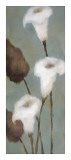 Perfección II Lámina giclée por Onan Balin Perfección II Lámina giclée por Onan Balin