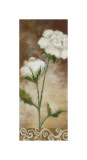 Spring Splendor Giclee Print by Onan Balin