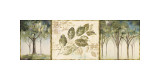Hopes and Greens II reproduction procédé giclée par Lisa Audit