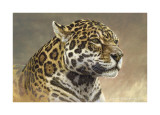 Jaguar Lámina giclée por Kalon Baughan