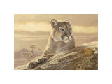 Desert Sunrise Giclee-trykk av Kalon Baughan