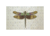 Flight of Fancy I Giclee-trykk av Jennifer Brice Flight of Fancy I Giclee-trykk av Jennifer Brice