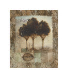 Natural Light I Giclee Print by Lisa Audit