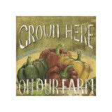 From the Market I Giclee Print by Daphne Brissonnet
