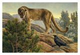 Curiosidad Lámina giclée por Kalon Baughan Curiosidad Lámina giclée por Kalon Baughan