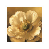 Poppy Portrait Lámina giclée por Lisa Audit Poppy Portrait Lámina giclée por Lisa Audit