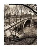Central Park Bridges III Giclee Print by Christopher Bliss