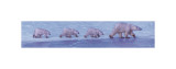 Walking the Edge reproduction procédé giclée par John Banovich