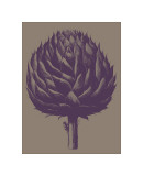 Artichoke, no. 14 Lámina giclée