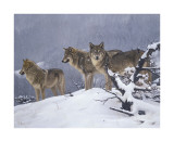 The Return Giclee Print by John Banovich