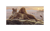 Lions of the Mara Giclee Print by Kalon Baughan