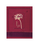 Delhi Daisy Giclee Print by Gaelle Cicarda