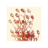 Zamora Lámina giclée por Erin Clark Zamora Lámina giclée por Erin Clark
