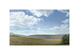 Shadow and Sunlight, Hayfield Giclee Print by Elissa Gore
