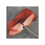 Rouge Giclee Print by Erin Clark