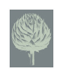 Artichoke, no. 7 Giclee Print